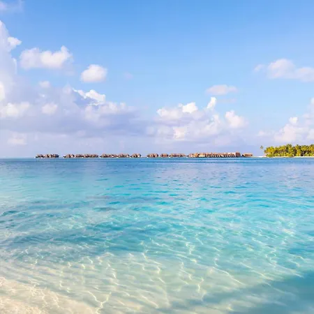 Corsica Bella 87 T2 Cosy Piscines Proche Appartamento