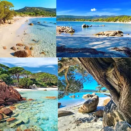 Corsica Bella 87 T2 Cosy Piscines Proche Lecci