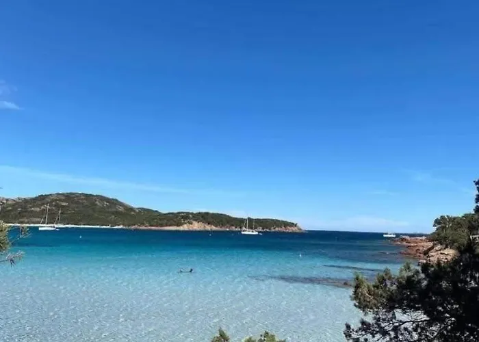 Corsica Bella 87 T2 Cosy Piscines Proche Apartment