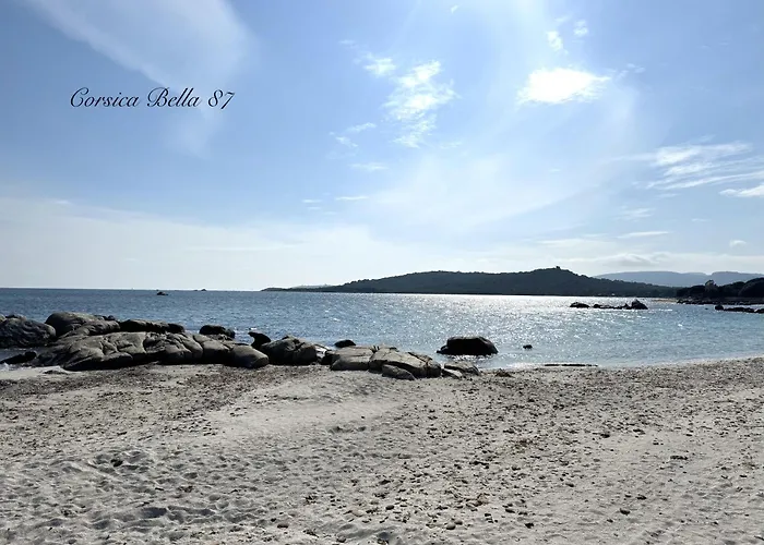 Corsica Bella 87 T2 Cosy Piscines Proche
