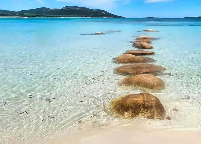 Corsica Bella 87 T2 Cosy Piscines Proche Lecci