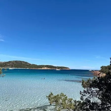 Corsica Bella 87 T2 Cosy Piscines Proche Appartement