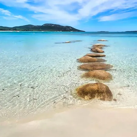 Corsica Bella 87 T2 Cosy Piscines Proche Lecci