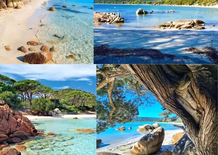 Corsica Bella 87 T2 Cosy Piscines Proche Lecci